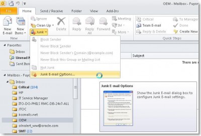 Outlook 2010 Junk Email Options.jpg