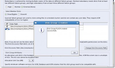 Disk Group created successfully.jpg